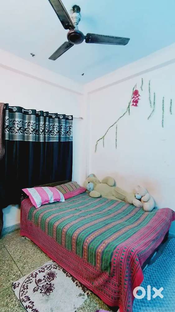 Need female roommates