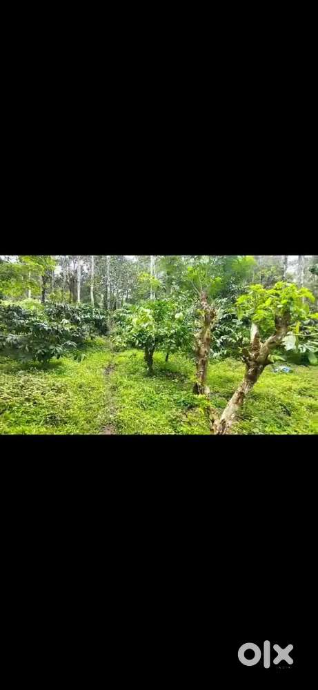 Plot for Sale of 28 cents,11 site to construct home stay and cottage