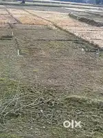 5 khta Land for sale near New DC Office Silchar bypass Mizoram road.