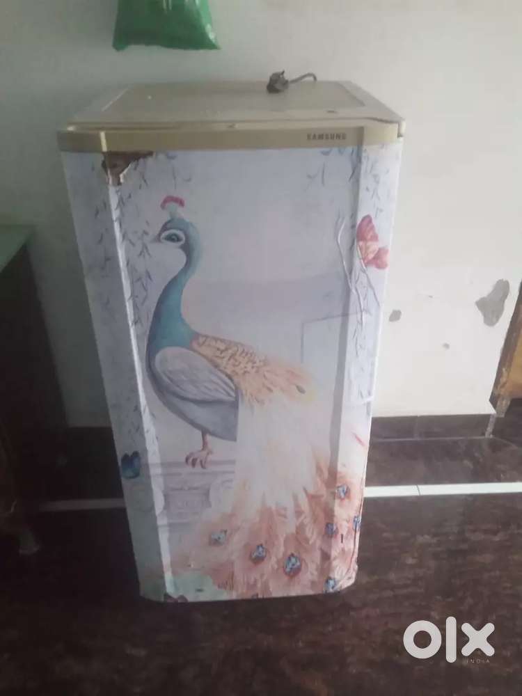 Best Working Fridge for you
