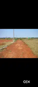 Pratapara sijua mauja