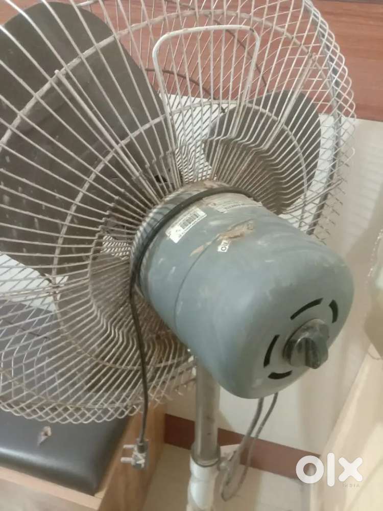 Crompton big stand fan