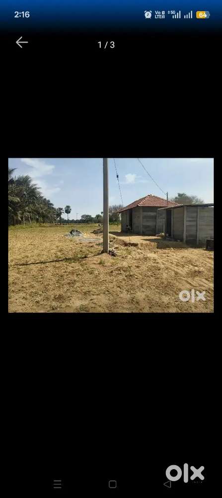 Farm house for rent. 50 cent land available for Coconut drying