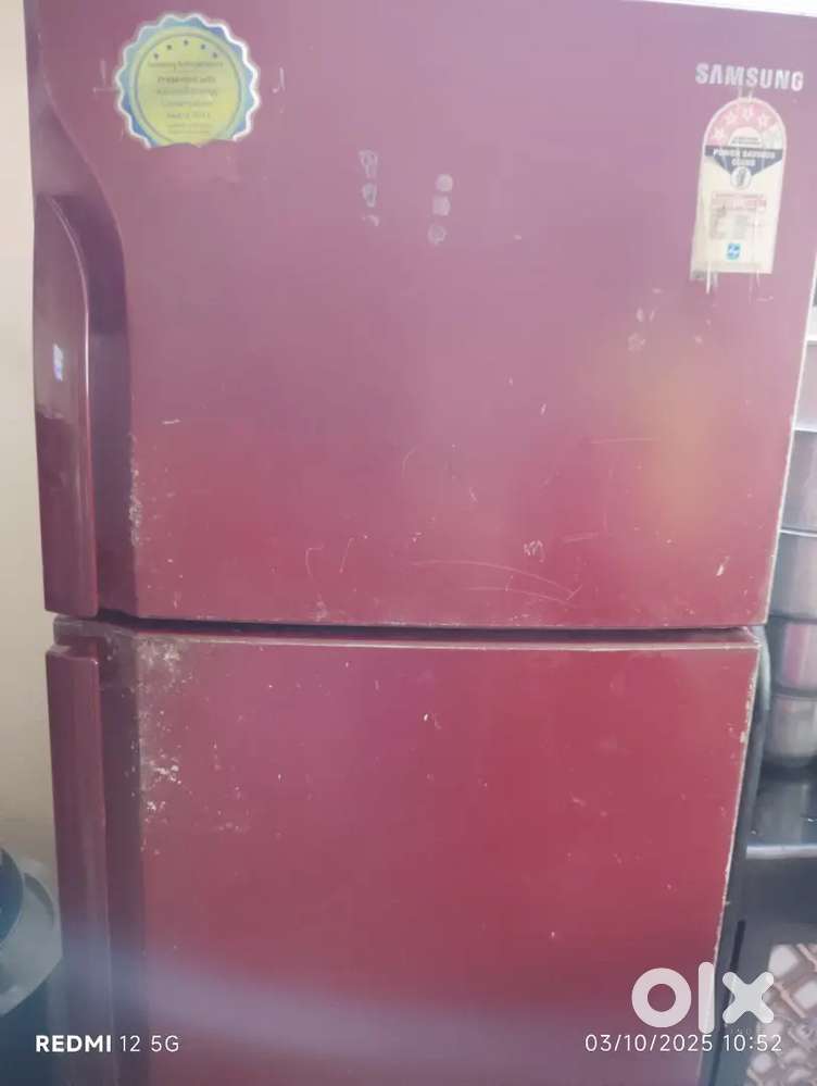 Samsung Double Door Fridge – 255 Ltr, 4-Star Rating