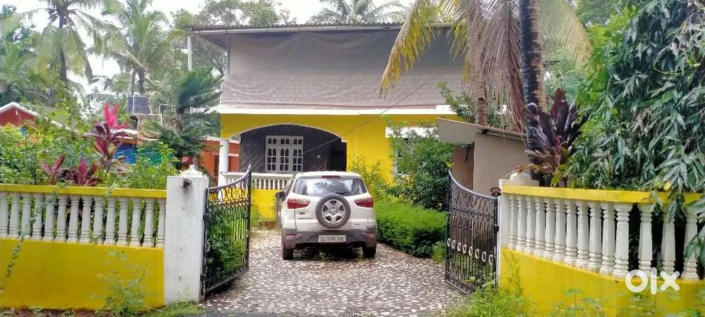 Independent house with plot