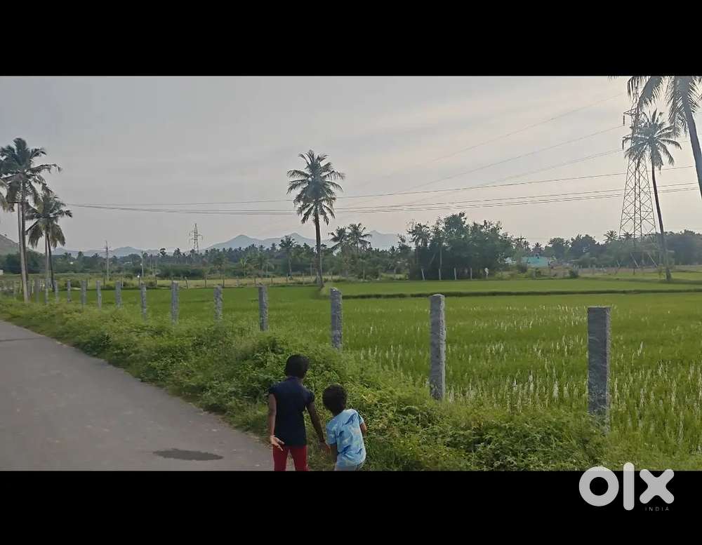 Agriculture land for rent