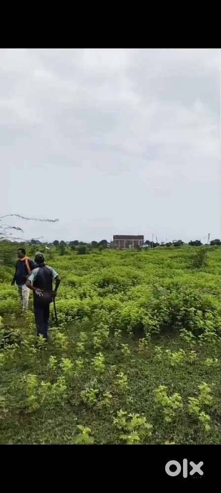 Plot for sale at only 700 rs square feet