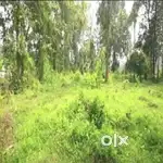 Land for Sale in Aranmula, kozhenchery