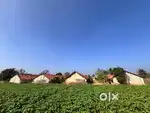 Commercial land
