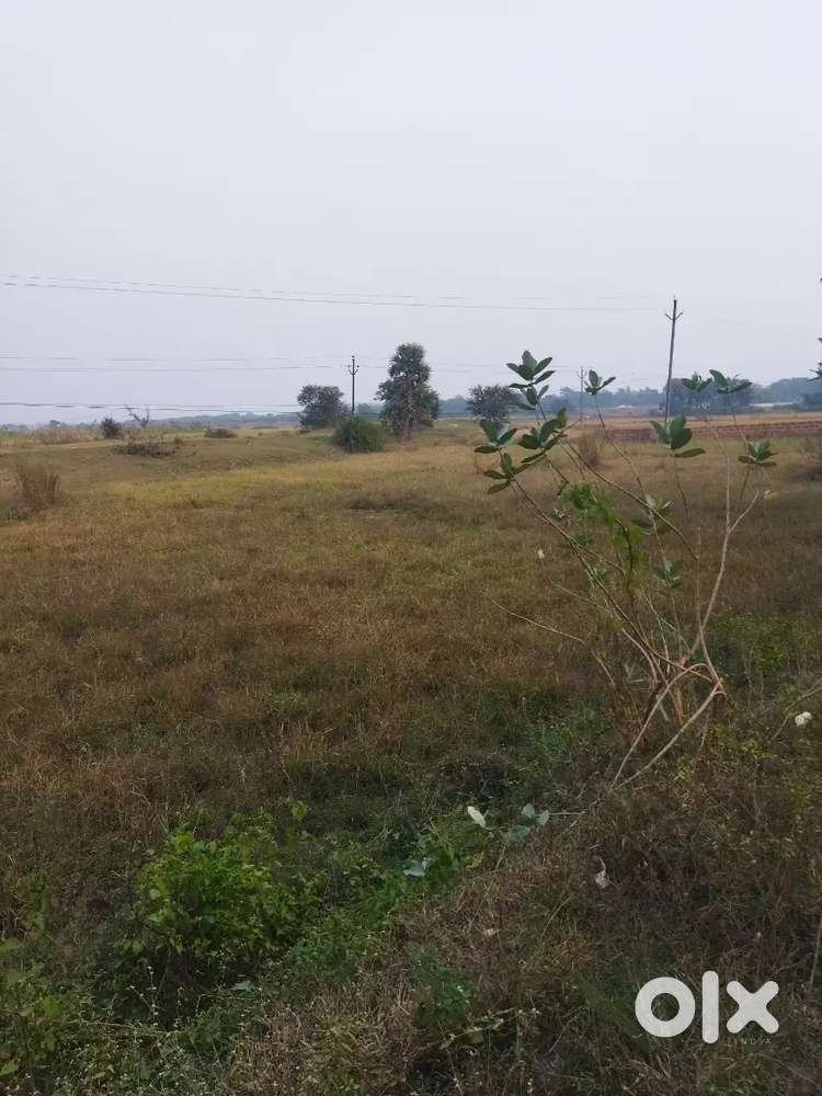 Land for sale