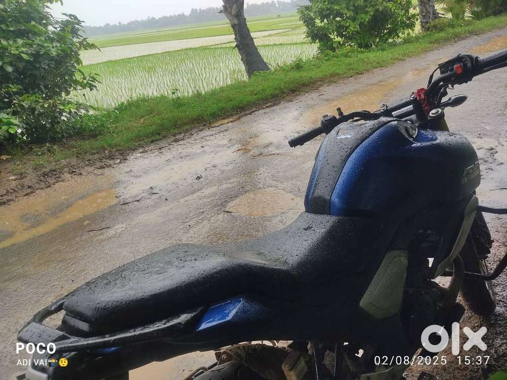 Fz v0.3 good codisen fashand