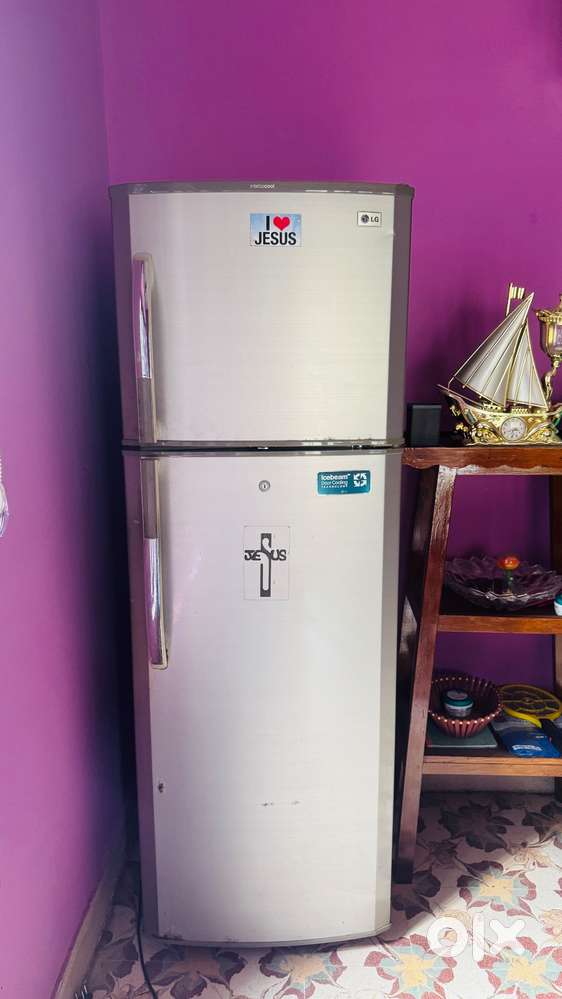 LG Fridge double door