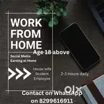 Shosl mdiya online business