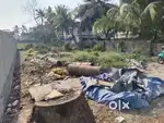 5.5 CENTS OF HOUSE PLOT FOR SALE IN ELAMKULAM