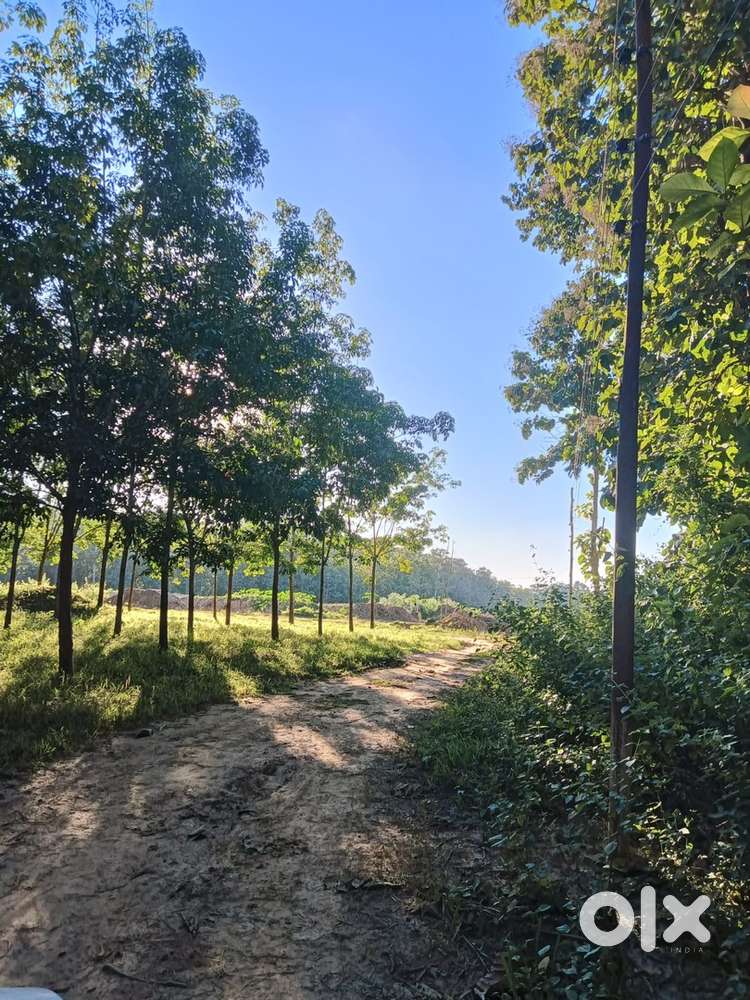 Prime land road attached all sides