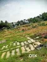 House plot for sale in Chandranagar, Palakkad