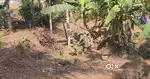 6 CENT RESIDENTIAL PLOT FOR SALE MANASSERY, KOZHIKODE