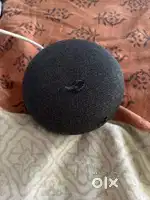 Google mini