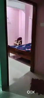 Need a roomate