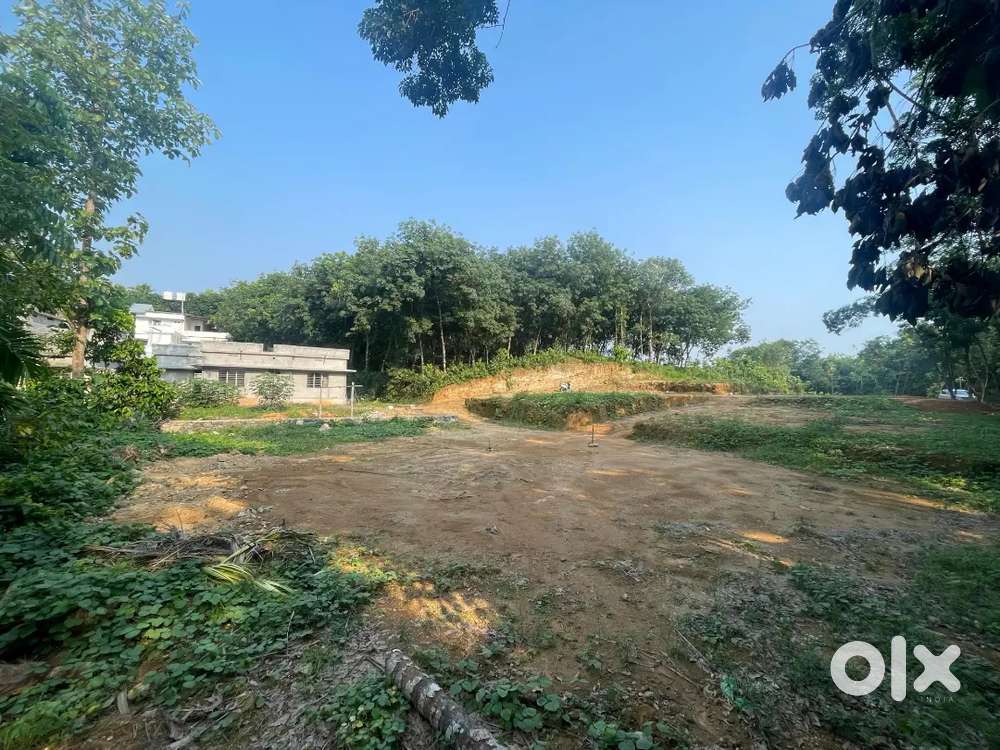 Kothamangalam mathirappilly 8 cent house plot for sale