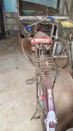 Avon cycles