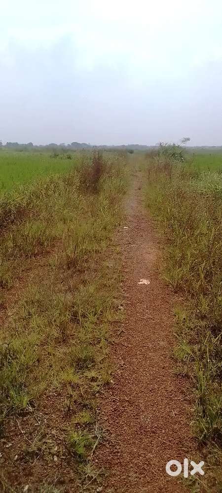 Plots sell