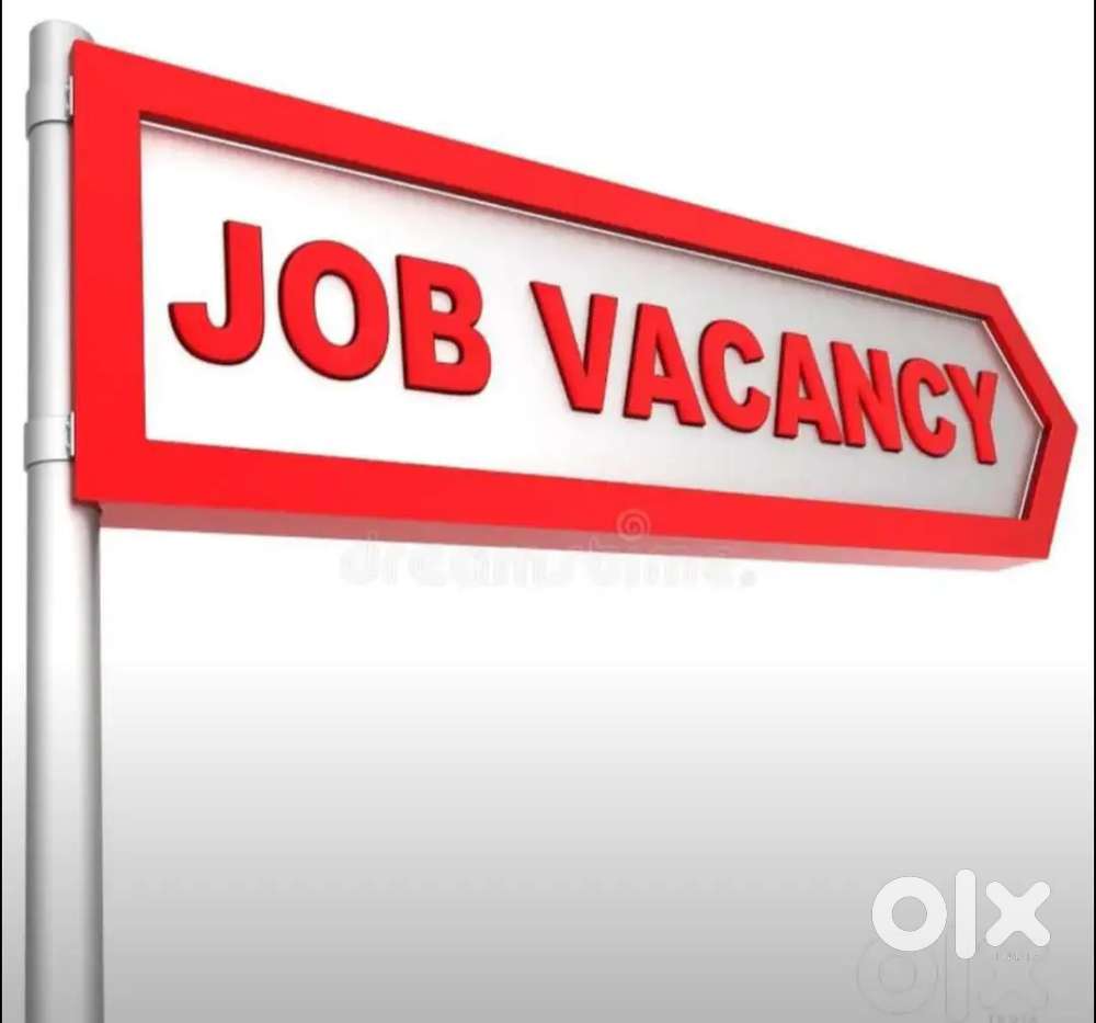 BOTH MALE AND FEMALE NEEDED TO WORK IN THE NEWLY OPENED OFFICE