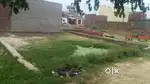 बड़ा पीपल हरीश टेलर मार्केट
