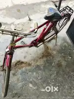 Full condition cycle