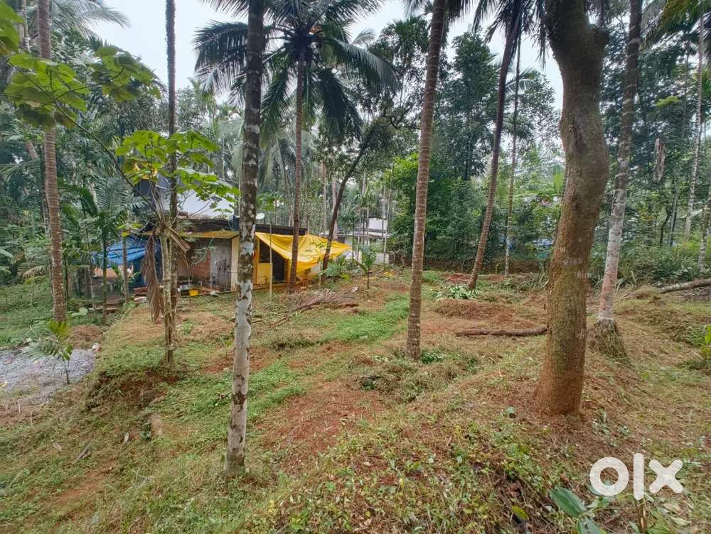 Thottilpalam,kothode