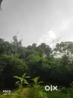 ১ গন্ডা এক করা জায়গার উপর। দুইটি রুম প্লোয়াল দেওয়াল দেওয়া
