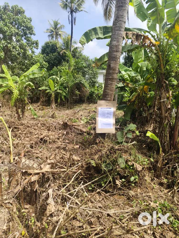 50 cents land for sale at Ashtamichira- Pazhukkara
