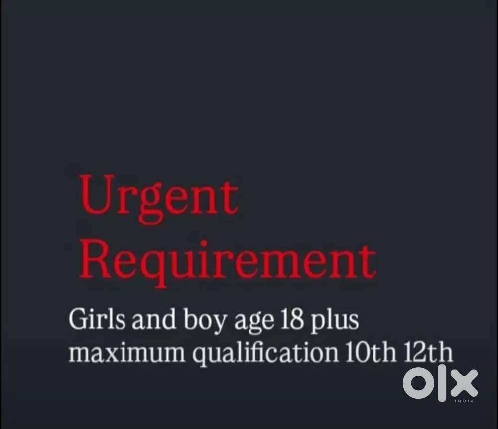 Job in Haridwar sidkul total office work