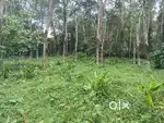 1.45  acre plot and 3 bedroom house