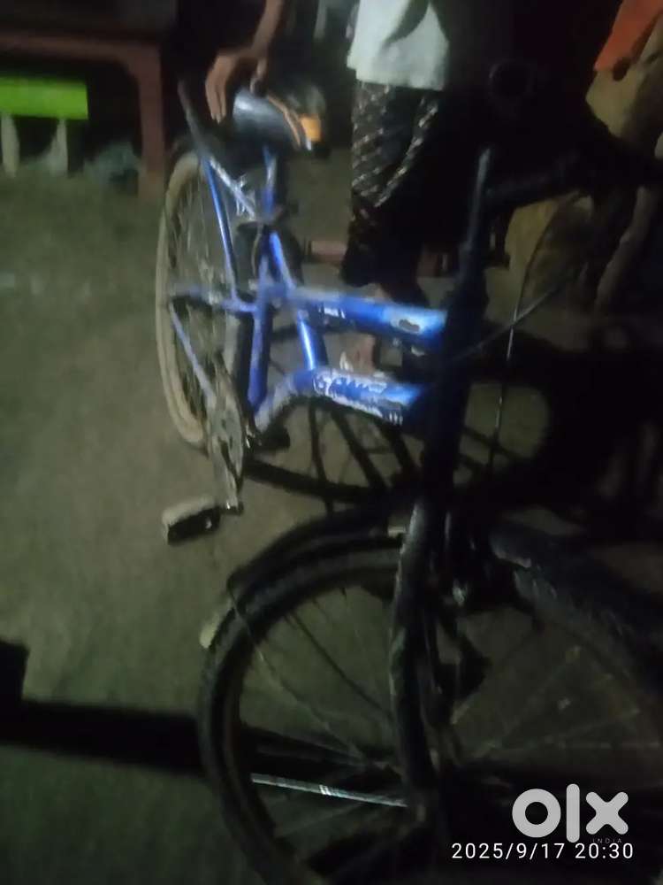 Ganga cycle