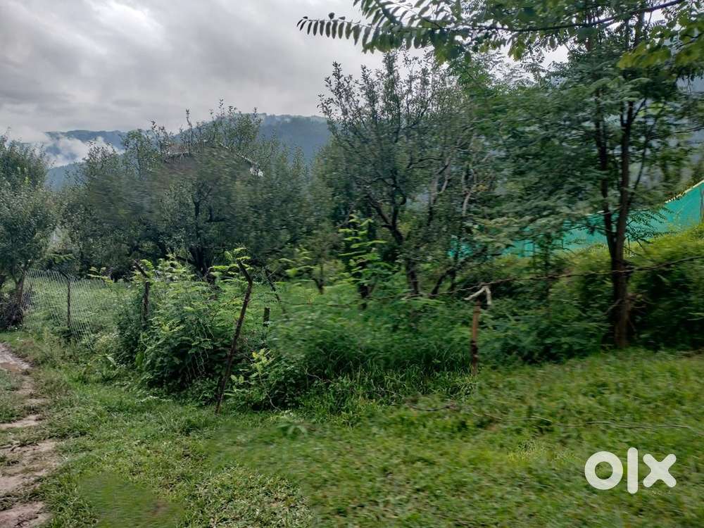 Land for sale at Jwalaji