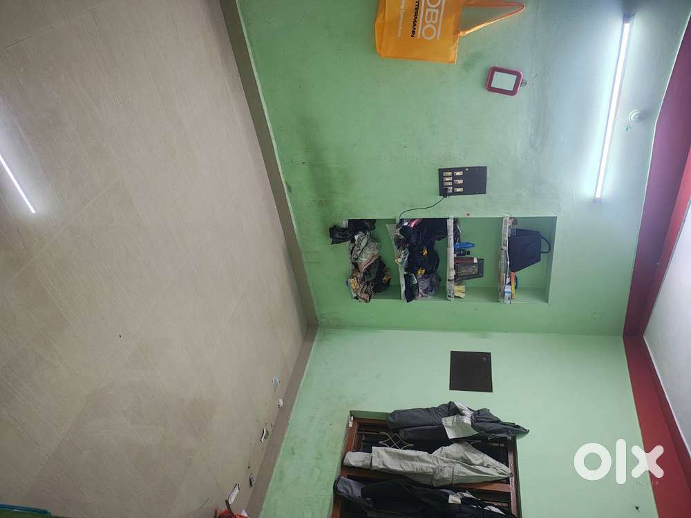 Bachelor Roommates required