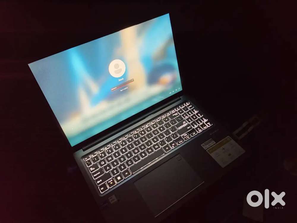 Asus vivobook