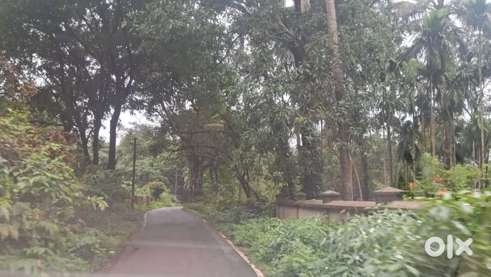 PLOTS IN  VALPOI  &  BICHOLIM for sale