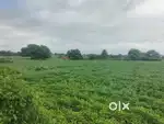 Ujjain mein road se 3 km andar