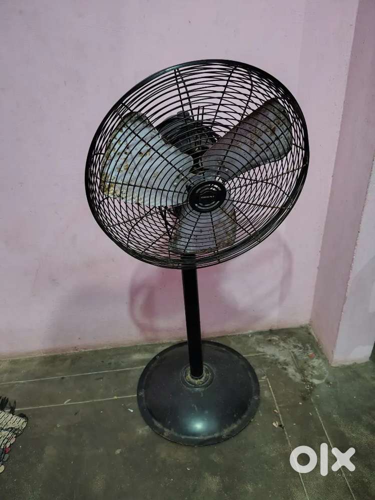 Standing pedestal fan