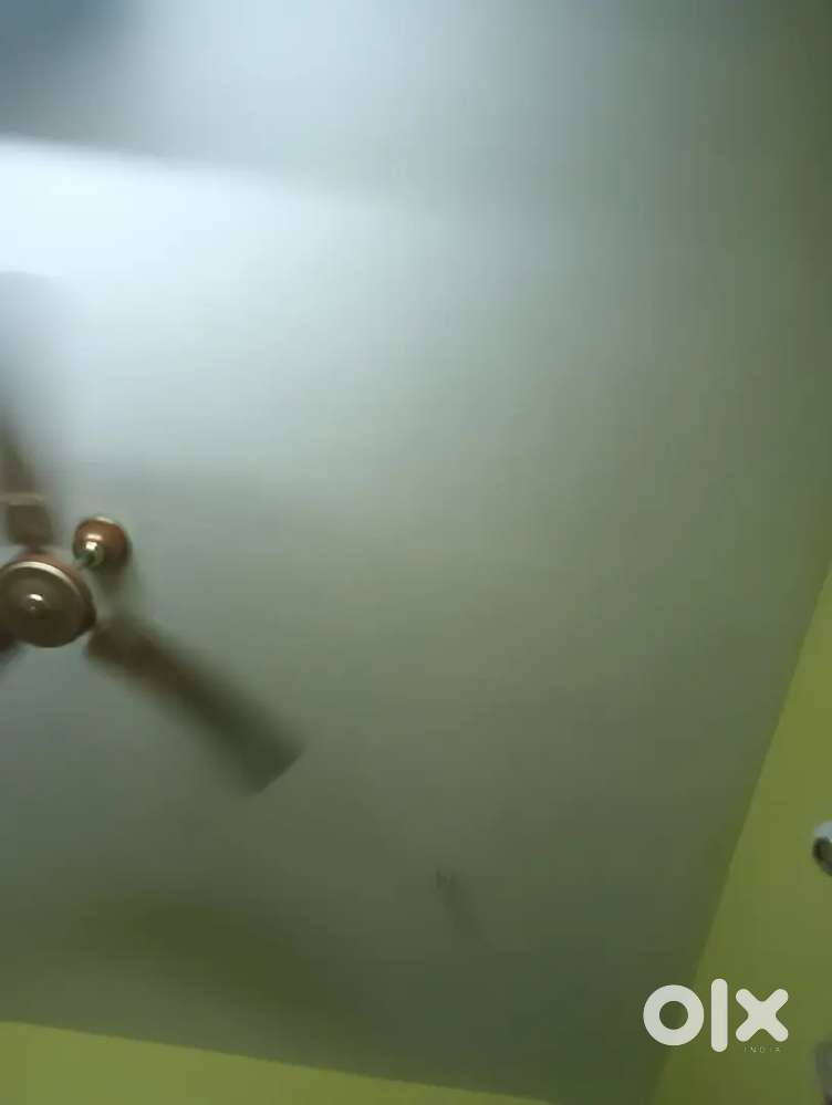 Rent in Nizam colony ground floor opp to mosque