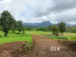 Riverside Farm Land