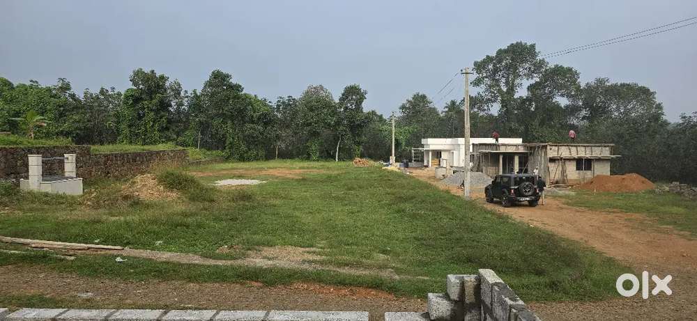 പാലായിൽ കുറഞ്ഞ വിലയിൽ പ്ലോട്ടുകളും പുതിയ വീടുകളും