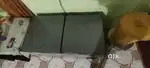 Voltas double door deep freezer