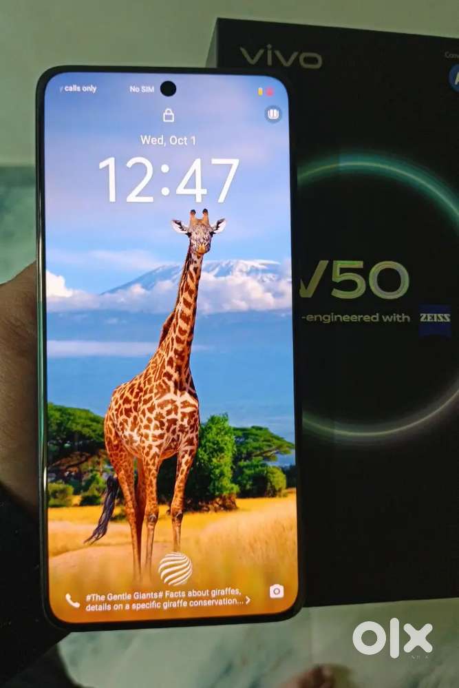 75 Day's Old Blue Vivo V50 256gb Complete Fix Rate 26500