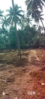 Plot for sale in thruvllam