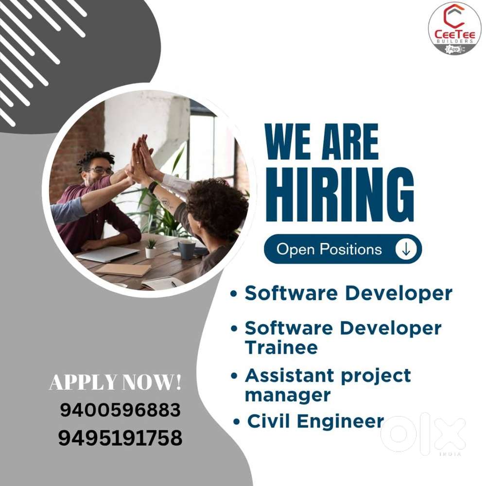 Software Developer