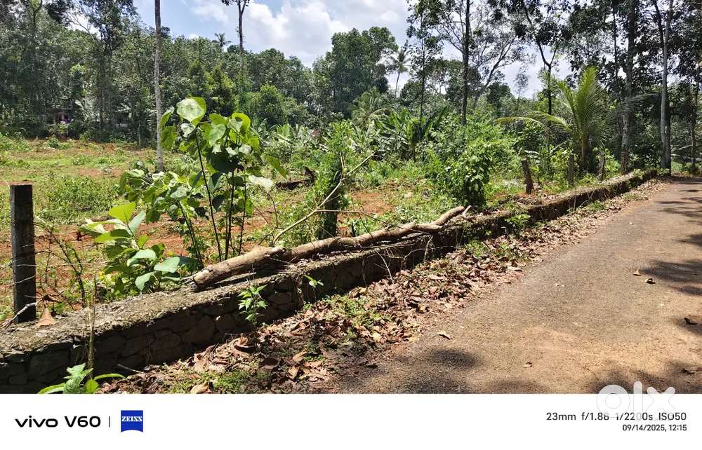 രാമപുരം ടൗണിന് സമീപം ഹൗസ് പ്ലോട്ടുകൾ വിൽപ്പനയ്ക്ക്