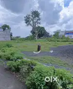 Janki nagar rameshwaram coloni krishi upaj mandi narsinghpur station
